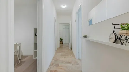 Rooms in Padua - photo 10