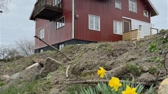 Houses in Norrköping - photo 1