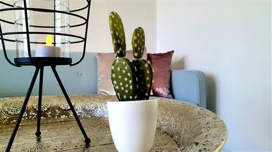 Apartments in Mannheim - photo 7