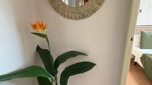 Rooms in Húmera-Somosaguas-Prado del Rey - photo 6