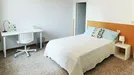 Room for rent, Bologna, Emilia-Romagna, &lt;span class=&quot;blurred street&quot; onclick=&quot;ProcessAdRequest(10001588)&quot;&gt;&lt;span class=&quot;hint&quot;&gt;See streetname&lt;/span&gt;[xxxxxxxxxxxxx]&lt;/span&gt;