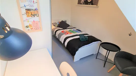 Rooms in Bonn - photo 4