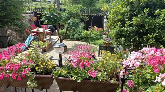 Rooms in Nogent-sur-Marne - photo 6