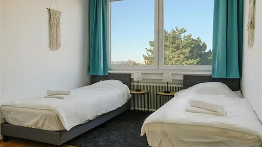 Apartments in Bad Fischau-Brunn - photo 4