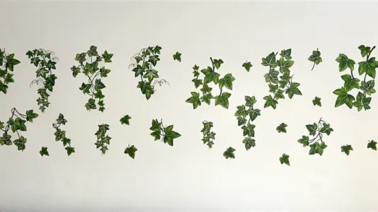 Apartments in Vienna Leopoldstadt - photo 7