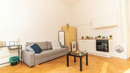 Apartments in Budapest Józsefváros - photo 7