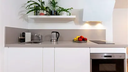 Apartment for rent in Delft, South Holland