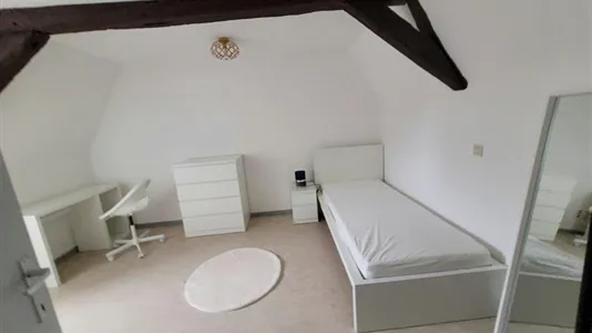 Houses in Doornik - photo 6