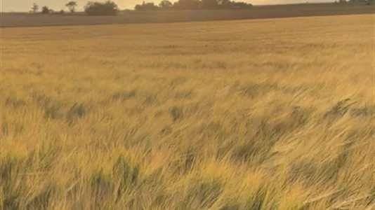 Houses in Trelleborg - photo 7