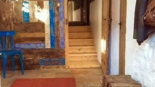 Houses in Sélestat-Erstein - photo 8