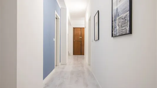 Rooms in Padua - photo 7