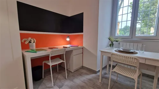 Rooms in Roma Municipio VIII – Appia Antica - photo 5