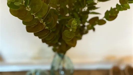 Apartments in Ede - photo 6