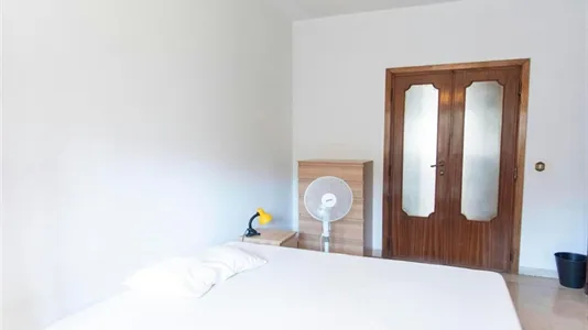 Rooms in Roma Municipio VIII – Appia Antica - photo 4