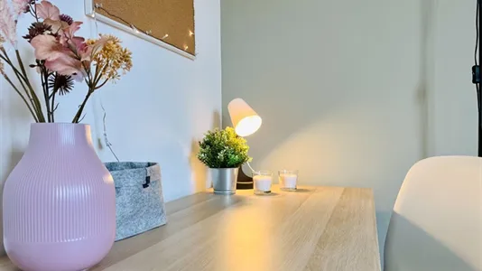 Rooms in Padua - photo 4