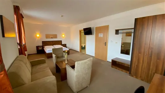 Apartments in Donnerskirchen - photo 10