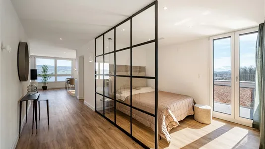 Apartments in Horgen - photo 4