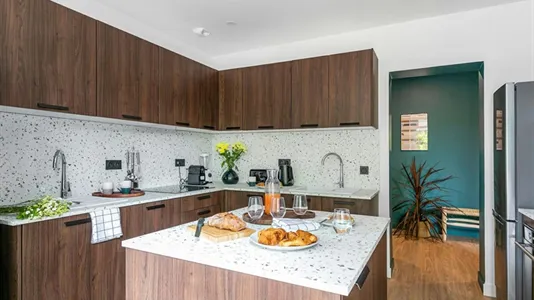 Rooms in L'Haÿ-les-Roses - photo 9