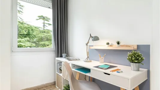 Rooms in Padua - photo 4