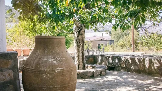 Houses in Oropedio Lasithiou - photo 9