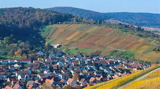 Apartments in Rems-Murr-Kreis - photo 6