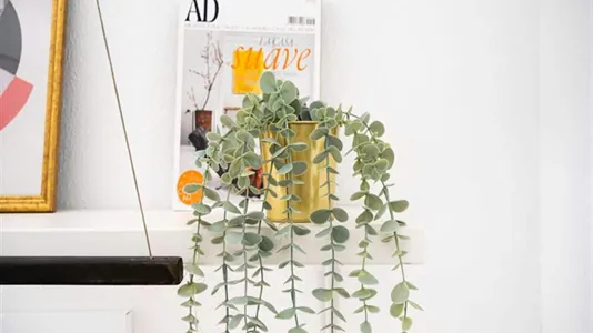 Rooms in Madrid Centro - photo 10