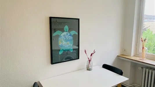 Apartments in Münster - photo 7