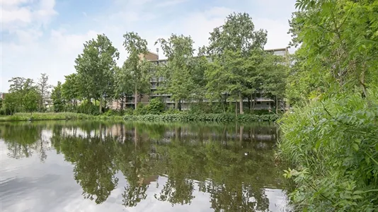 Rooms in Capelle aan den IJssel - photo 6