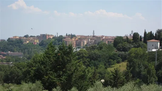 Apartments in Siena - photo 7