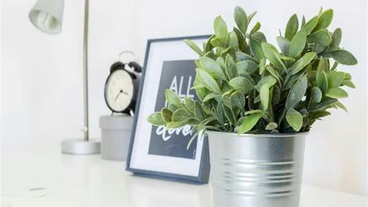 Rooms in Milano Zona 2 - Stazione Centrale, Gorla, Turro, Greco, Crescenzago - photo 8