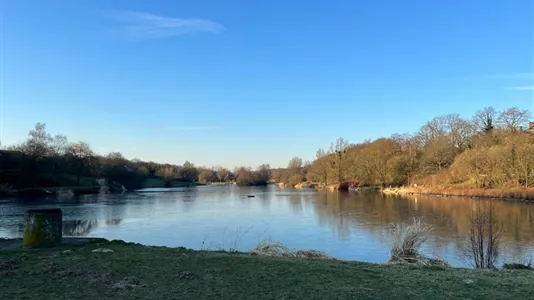 Apartments in Ottignies-Louvain-la-Neuve - photo 10