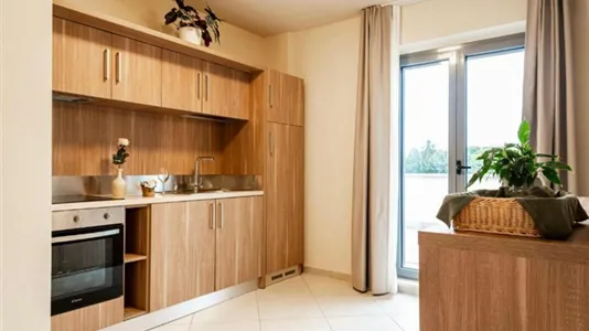 Apartments in Sovicille - photo 2