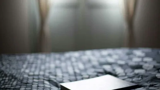 Rooms in Bologna - photo 8