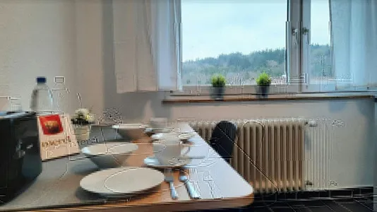 Apartments in Enzkreis - photo 5