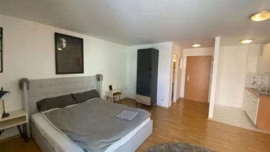 Apartments in North Saxony - photo 9