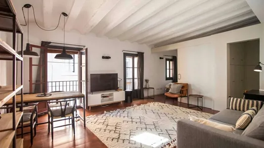 Apartments in Barcelona Ciutat Vella - photo 2