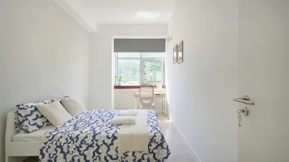 Room for rent in Lisbon (region)