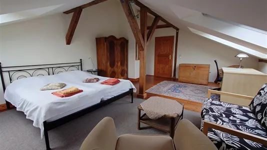 Apartments in Dresden - photo 4