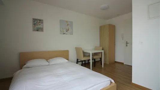 Apartments in Zürich Distrikt 6 - photo 9