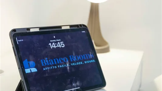 Rooms in Turin - photo 8