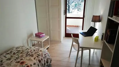 Room for rent in Padua, Veneto