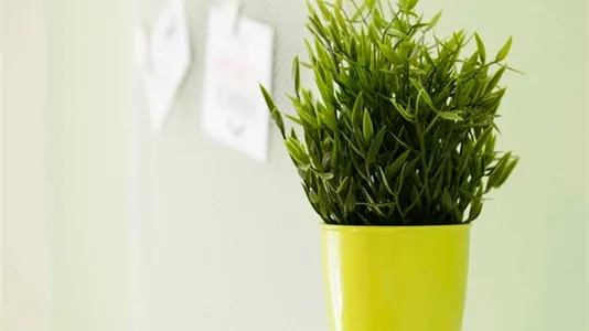 Rooms in Milano Zona 6 - Barona, Lorenteggio - photo 7