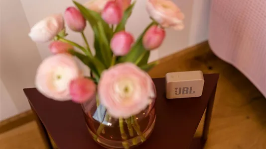 Apartments in Besnica - photo 6