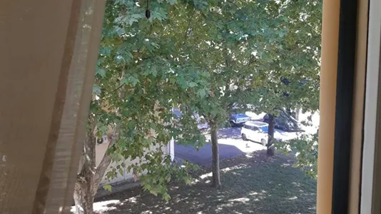 Rooms in Pisa - photo 5