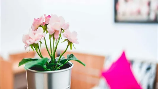 Apartments in Milano Zona 9 - Porta Garibaldi, Niguarda - photo 7