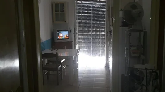 Rooms in Pisa - photo 5