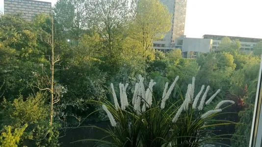 Rooms in Rotterdam Kralingen-Crooswijk - photo 3