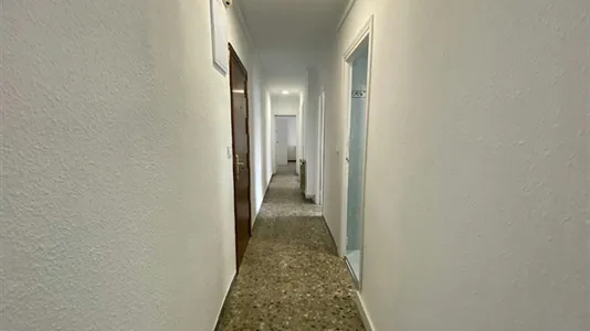 Rooms in Adaro - photo 7