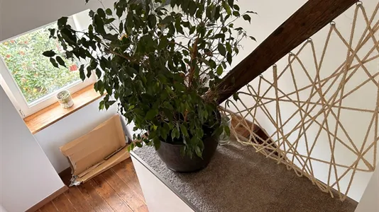 Houses in Mainz - photo 9