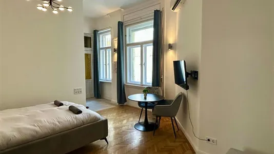 Apartments in Budapest Erzsébetváros - photo 6